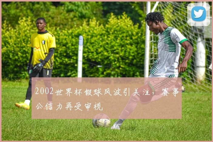 2002世界杯假球风波引关注，赛事公信力再受审视