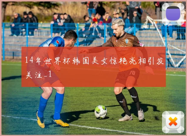 14年世界杯韩国美女惊艳亮相引发关注_1