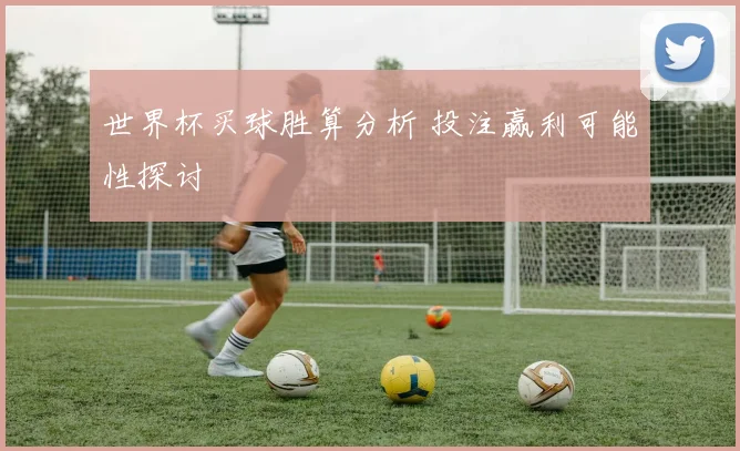 世界杯买球胜算分析 投注赢利可能性探讨